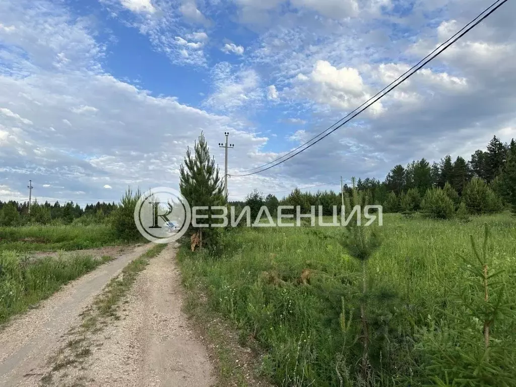 участок в пермский край, д. большакино ул. добрянская (12.0 сот.) - Фото 0