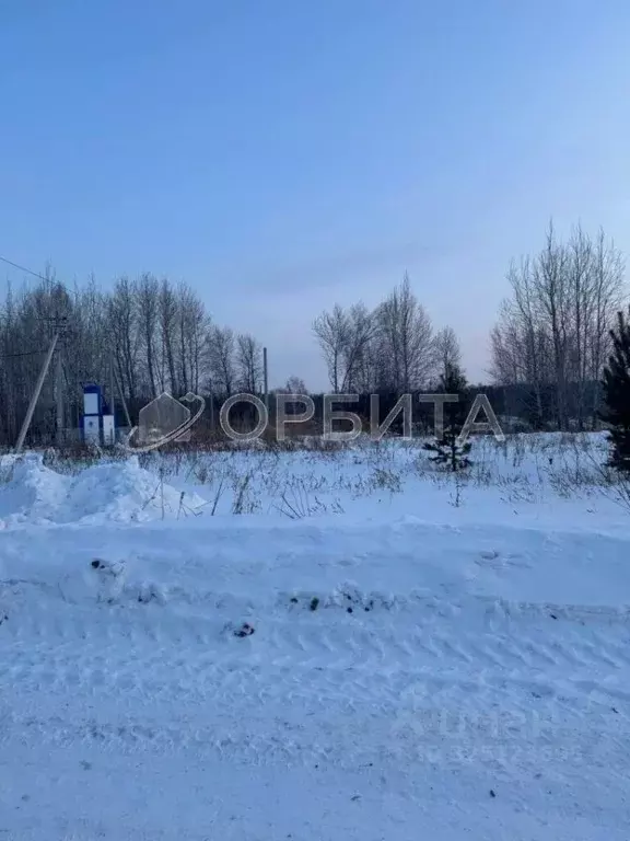 Участок в Тюменская область, Нижнетавдинский муниципальный округ, ... - Фото 1