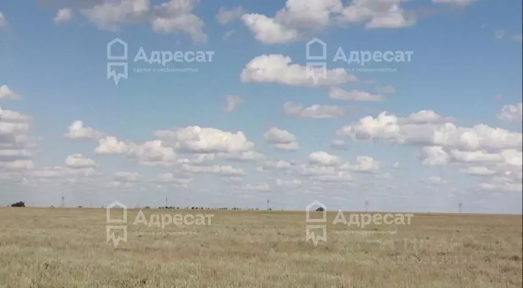 Участок в Волгоградская область, Среднеахтубинский район, ... - Фото 1