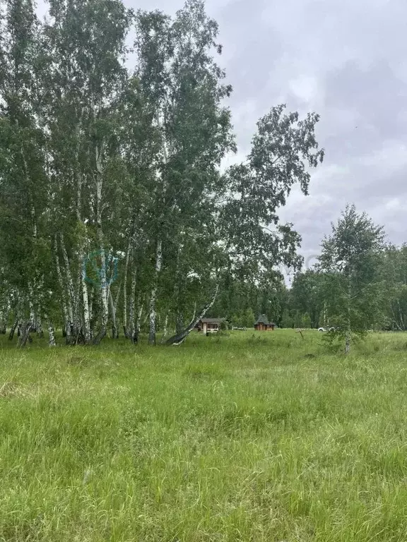 Участок в Омская область, Омский район, Пушкинское с/пос, д. Ракитинка ... - Фото 1