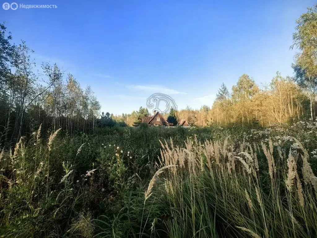 Участок в Богородский городской округ, СНТ Отдых (рабочий посёлок ... - Фото 1