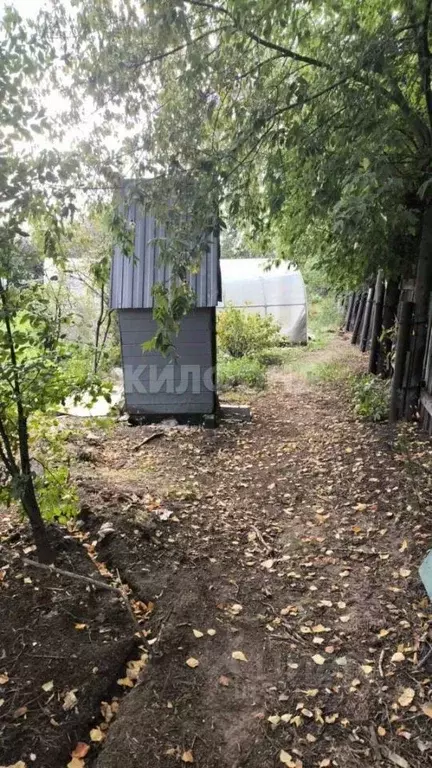 Участок в Новосибирская область, Новосибирск Северо-Чемской жилмассив, ... - Фото 1