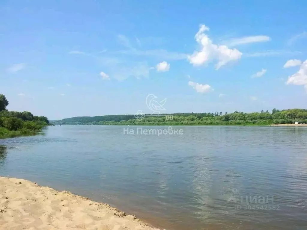 Участок в Тульская область, Ясногорский район, Иваньковское ... - Фото 1