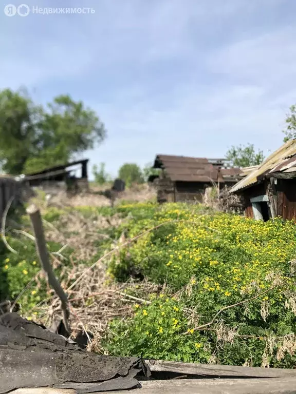 Участок в Курганская область, Щучанский муниципальный округ, посёлок ... - Фото 2