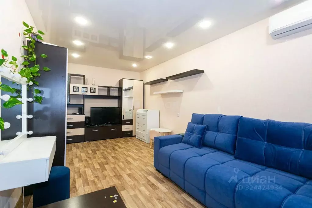 1-к кв. Новосибирская область, Новосибирск ул. Дмитрия Шмонина, 10/2 ... - Фото 1