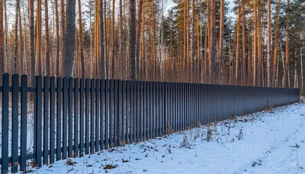 Участок в Московская область, Дмитровский муниципальный округ, д. ... - Фото 1