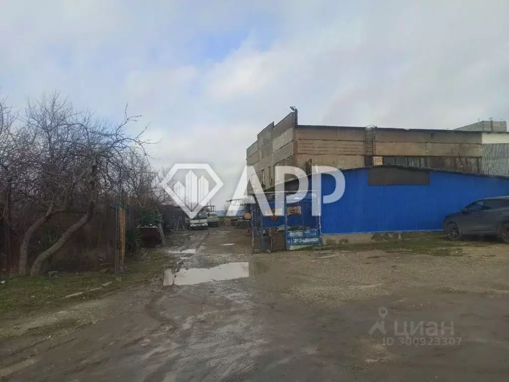 Производственное помещение в Краснодарский край, Анапа муниципальный ... - Фото 2
