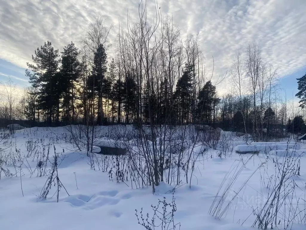 Участок в Ленинградская область, Выборг Поселок Кировские дачи,  (12.0 ... - Фото 1