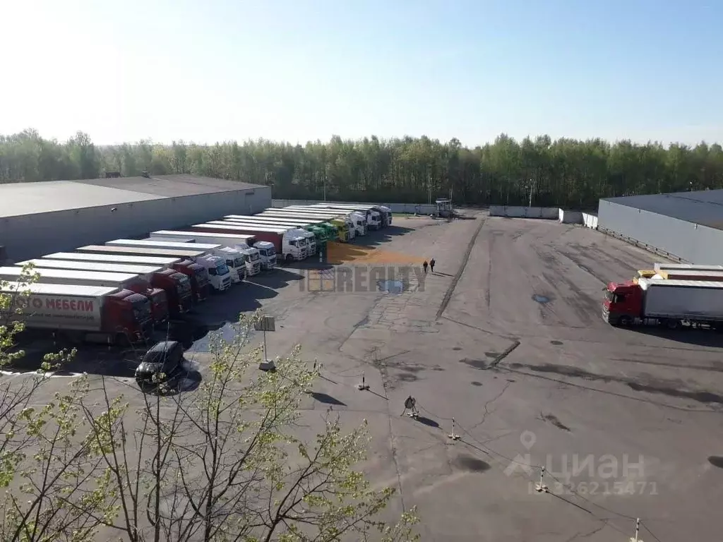 Склад в Московская область, Богородский городской округ, имени ... - Фото 2