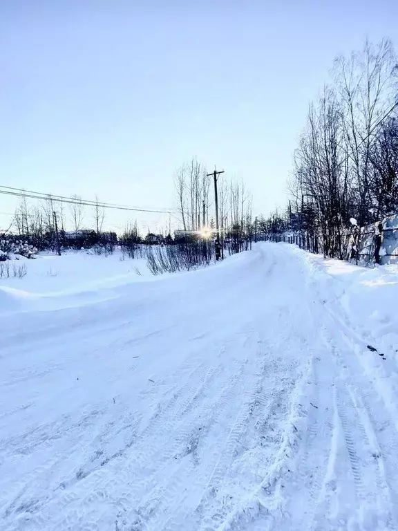 Участок в Московская область, Солнечногорск городской округ, д. Редино ... - Фото 2