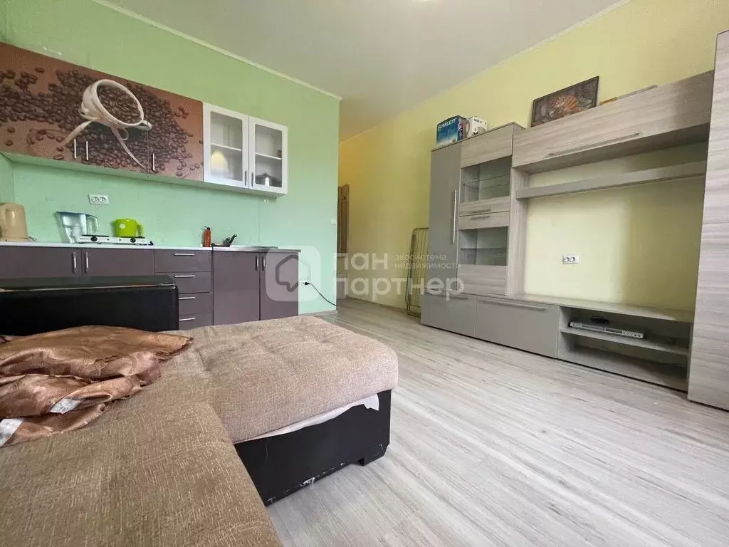 Студия Ленинградская область, Всеволожск Степной просп., 16к2 (22.0 м) - Фото 1