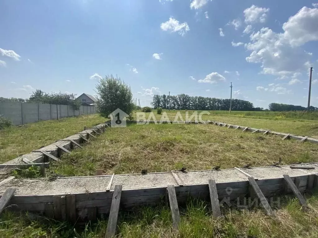 Участок в Владимирская область, Суздальский район, Селецкое ... - Фото 1