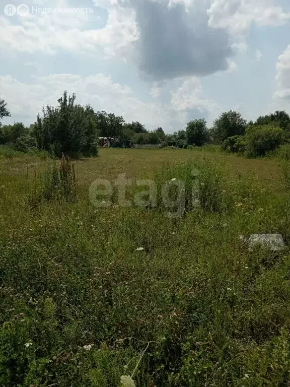 Участок в село Новоживотинное, улица Новосёлов (8.5 м) - Фото 2