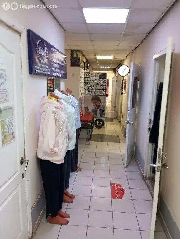 Помещение свободного назначения (212 м) - Фото 2