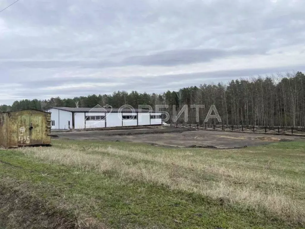 Участок в Тюменская область, Тюменский район, с. Кулига ул. ... - Фото 0