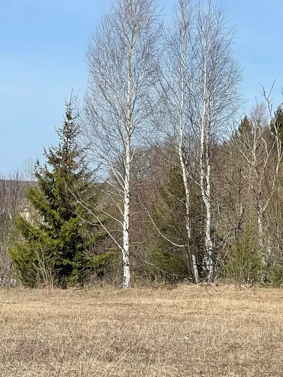 Участок в Удмуртия, Граховский район, с. Грахово Дорожная ул. (8.0 ... - Фото 0