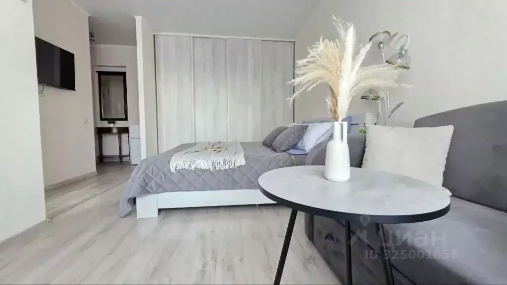 1-к кв. Татарстан, Казань ул. Карла Маркса, 24 (30.0 м) - Фото 1