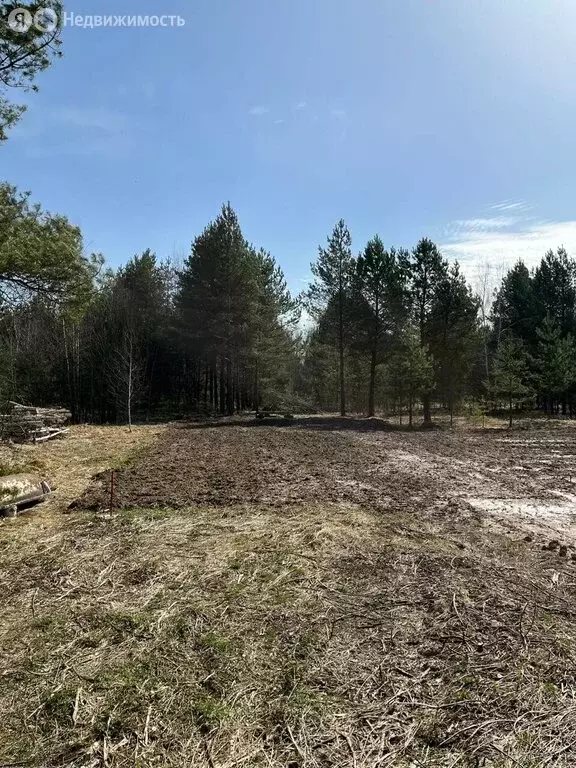 Участок в Суздальский район, муниципальное образование Селецкое, село ... - Фото 1