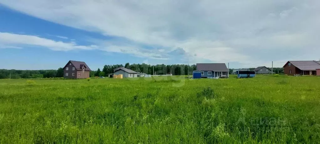 Участок в Новосибирская область, Новосибирский район, Плотниковский ... - Фото 2