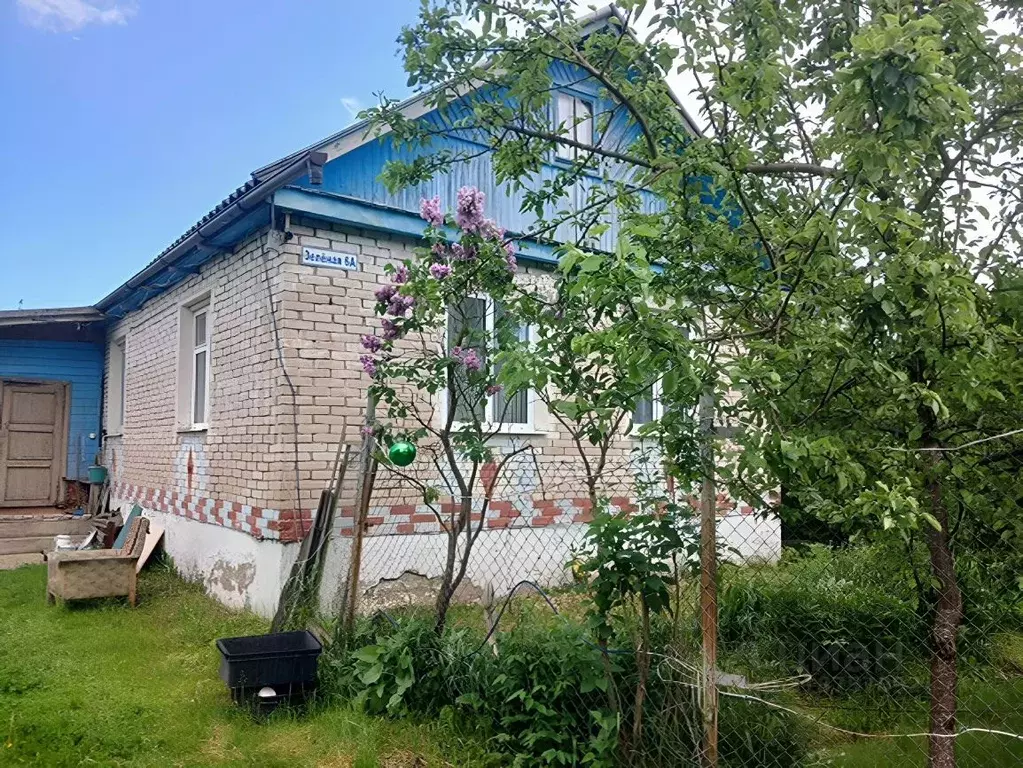 Дом в Новгородская область, Сольцы г. Солецкий муниципальный округ, ... - Фото 1