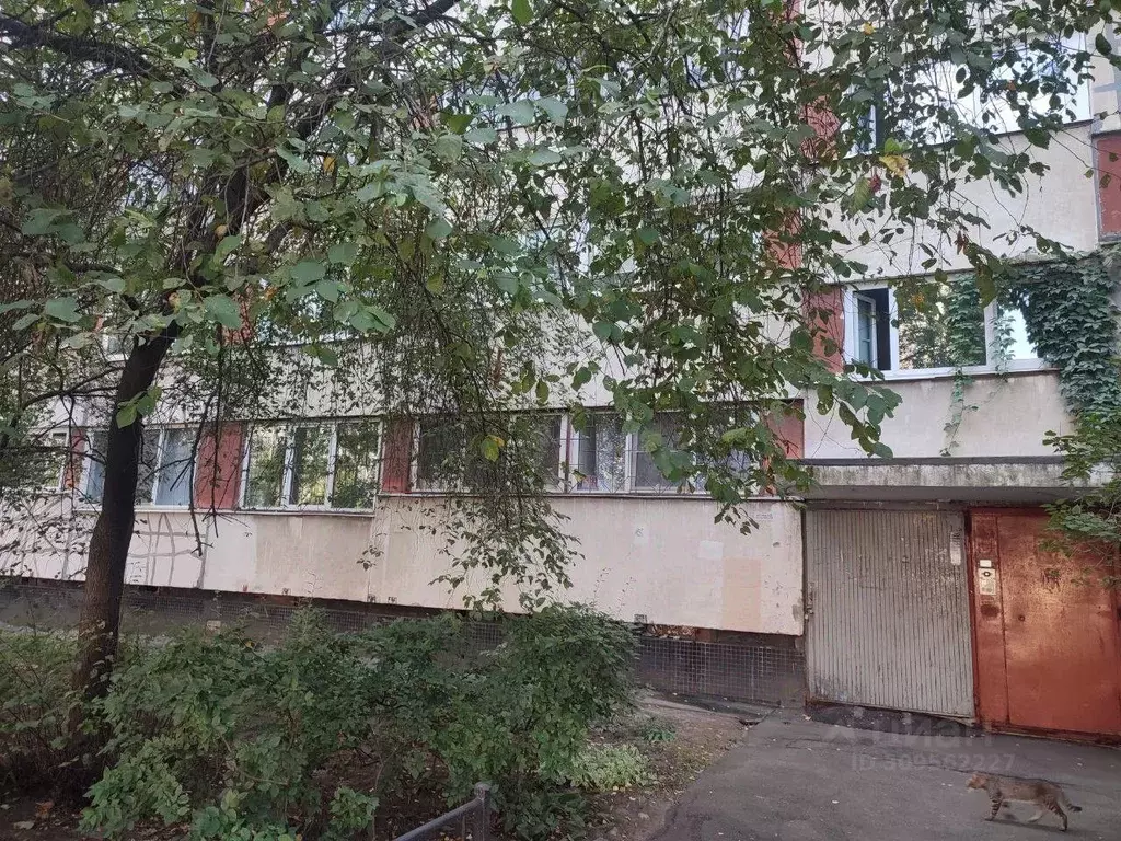 Комната Санкт-Петербург Наличная ул., 45К1 (12.1 м) - Фото 1