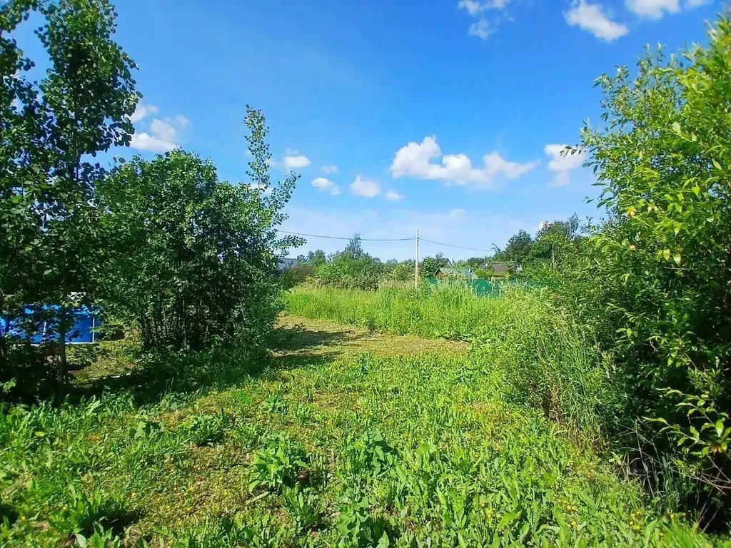 Участок в Ленинградская область, Тосненский район, Красноборское ... - Фото 2