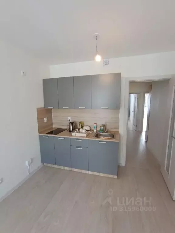 3-к кв. Свердловская область, Екатеринбург ул. Евгения Савкова, 44Б/2 ... - Фото 2