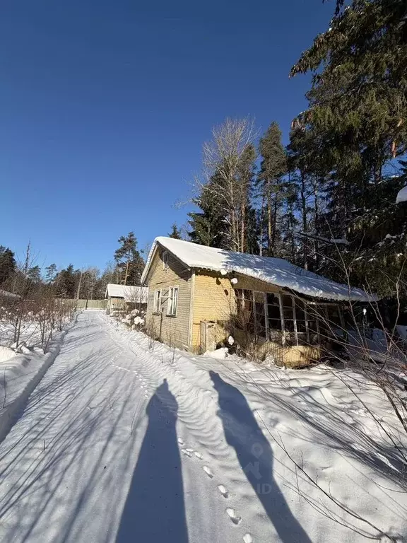 Участок в Санкт-Петербург пос. Репино, Приморское ш., 471Х (12.0 сот.) - Фото 2