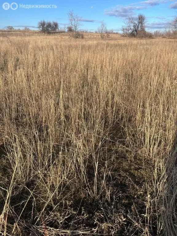 Участок в хутор Старая Станица, Еланская улица (10 м) - Фото 1