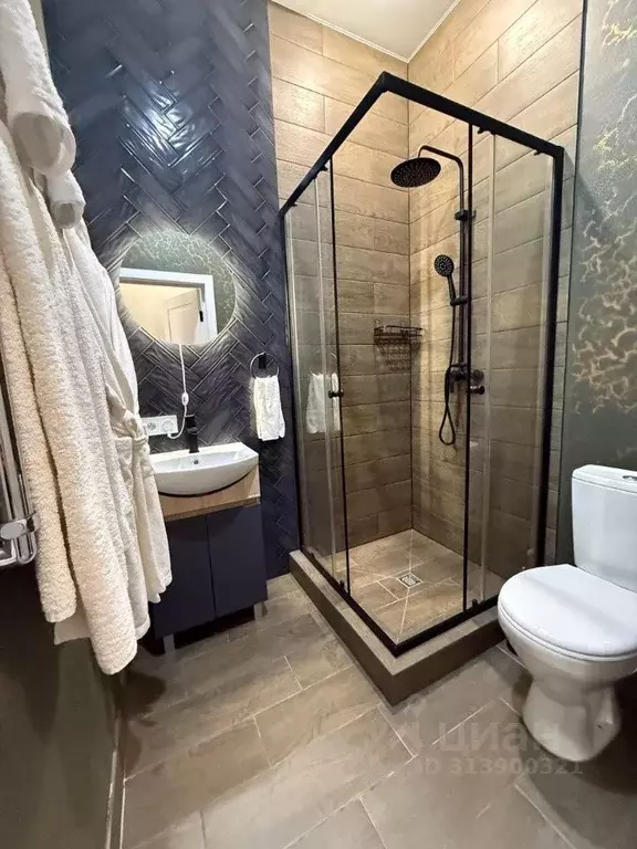 1-к кв. Московская область, Солнечногорск ул. Виноградная, 16 (21.0 м) - Фото 2