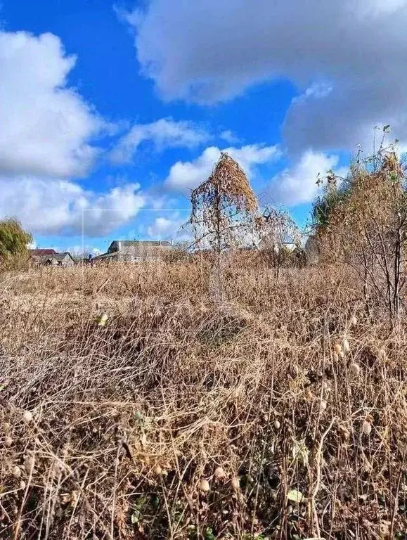 Участок в Воронежская область, Новоусманский район, с. Бабяково ... - Фото 0