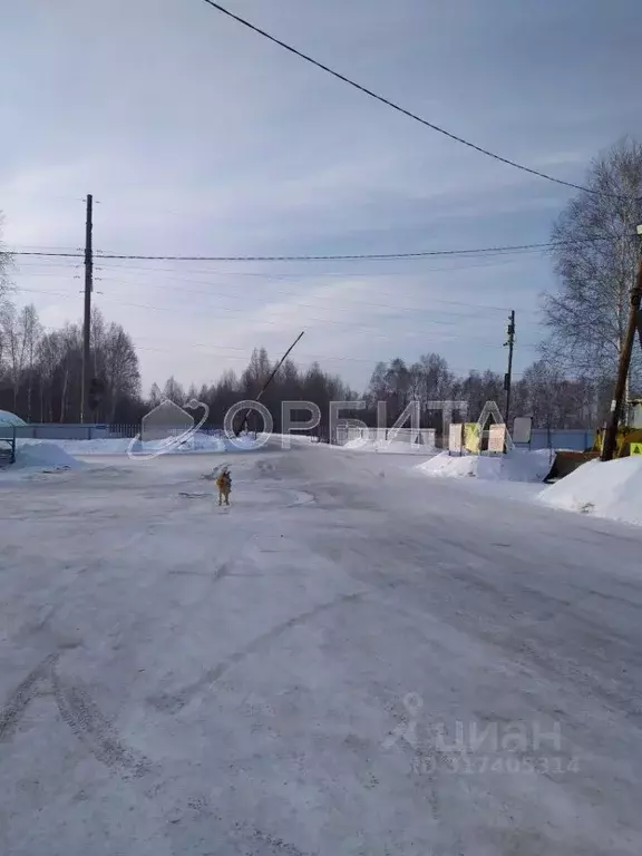 Дом в Тюменская область, Тюмень СОСН Сирень тер., ул. Вишневая (37 м) - Фото 1
