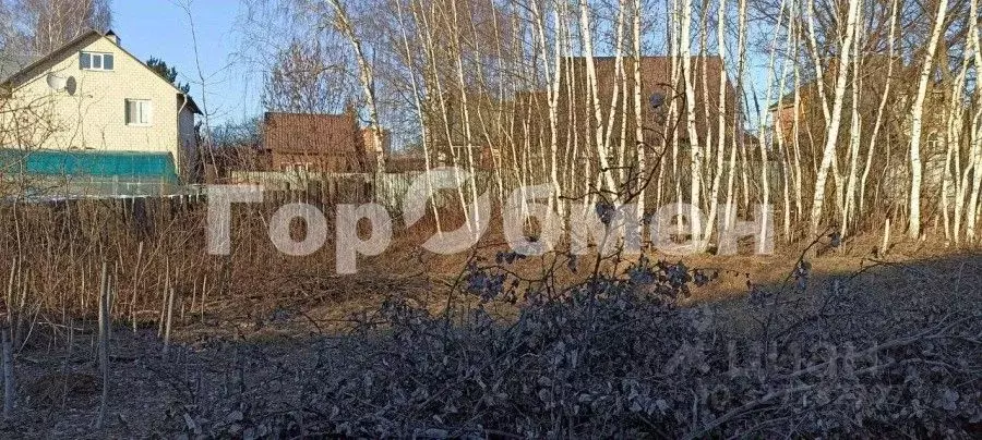 Участок в Московская область, Люберцы городской округ, д. Михнево 100 ... - Фото 2