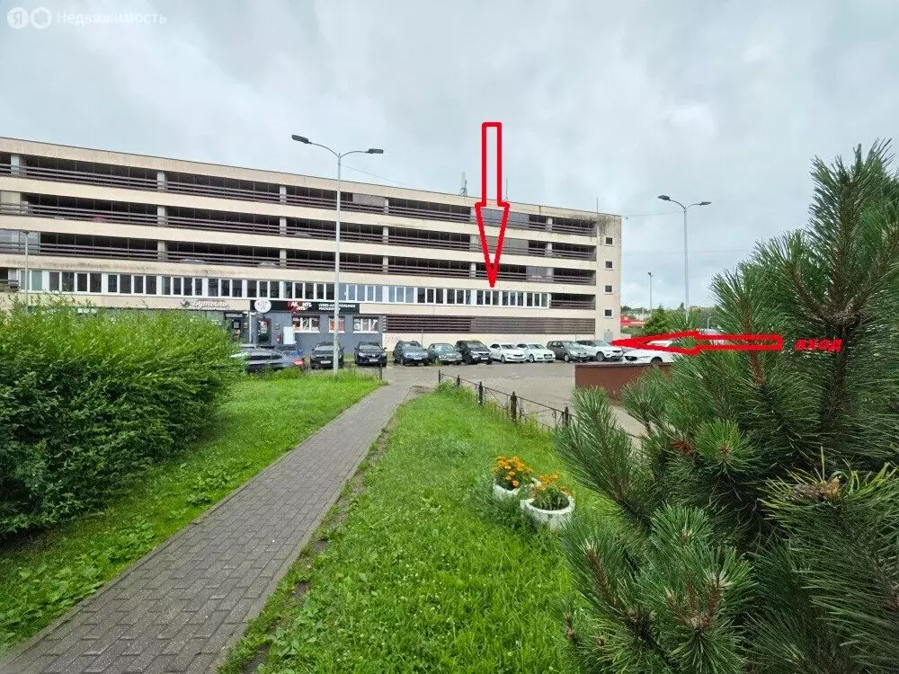 Офис (14.7 м) - Фото 1