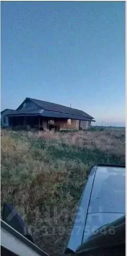 Участок в Волгоградская область, Суровикинский район, Нижнеосиновское ... - Фото 1