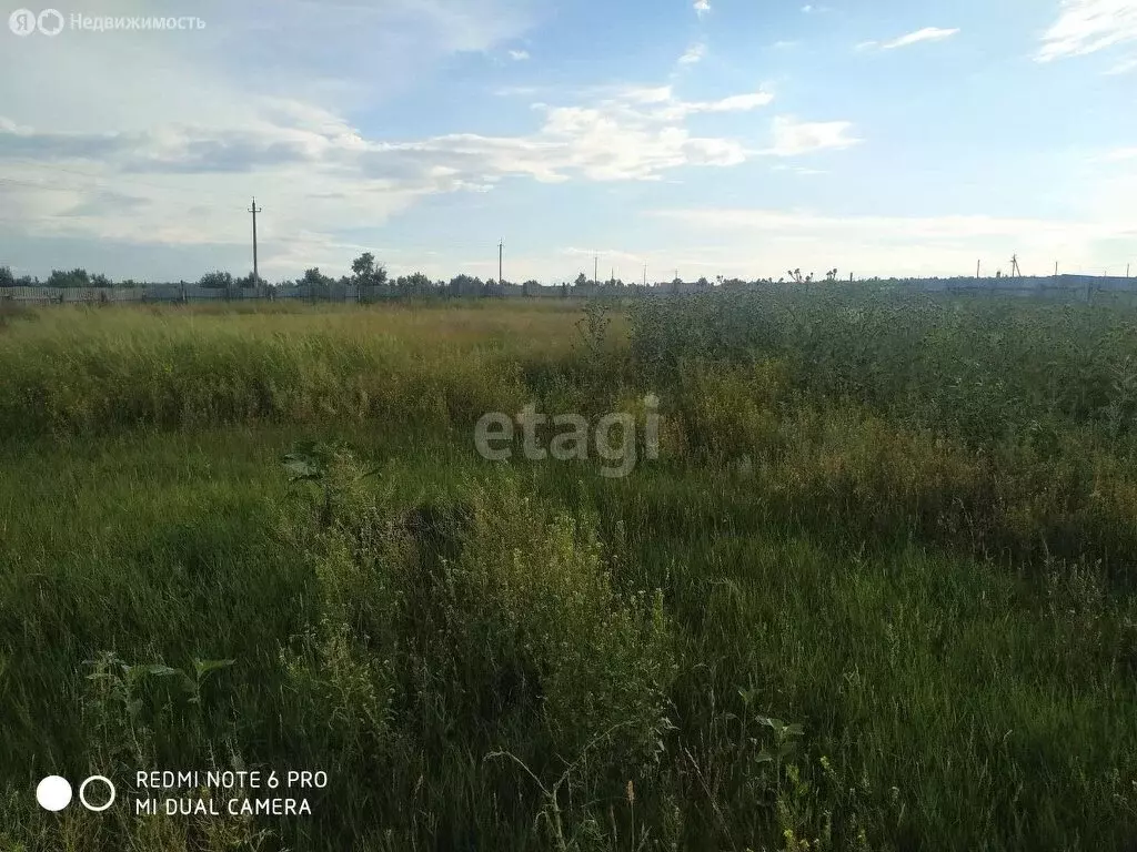 Участок в Саратовская область, муниципальное образование ... - Фото 1