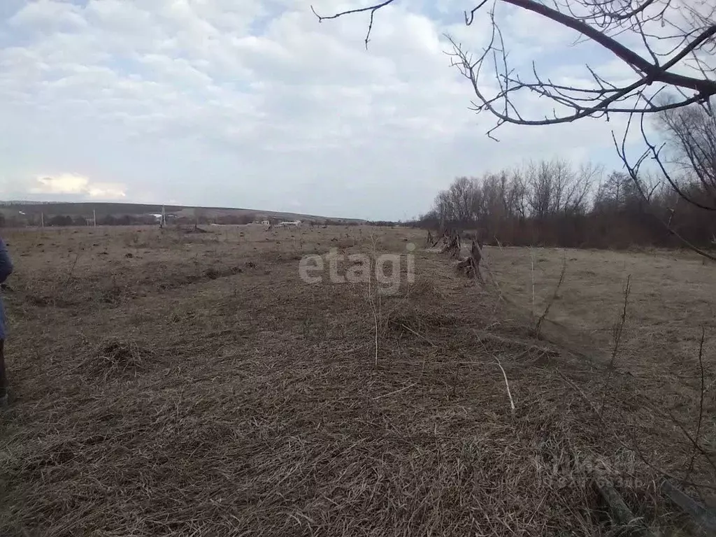 Участок в Башкортостан, Бирский район, Сусловский сельсовет, с. ... - Фото 1