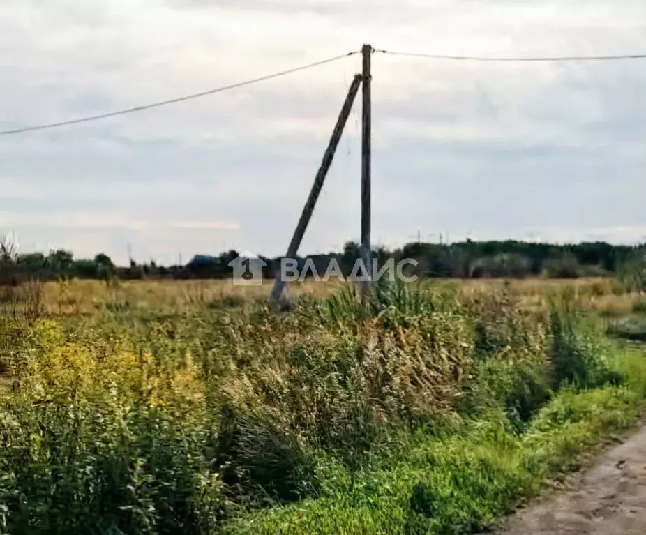 Участок в Калининградская область, Гурьевский муниципальный округ, ... - Фото 1