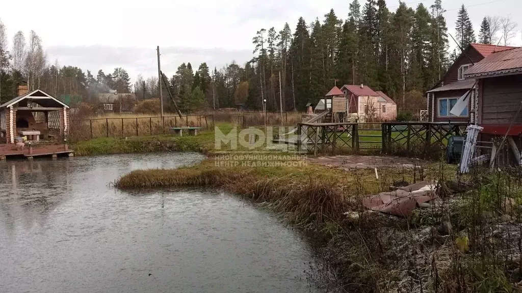 Дом в Карелия, Питкярантский муниципальный округ, д. Янис ул. Полевая, ... - Фото 0