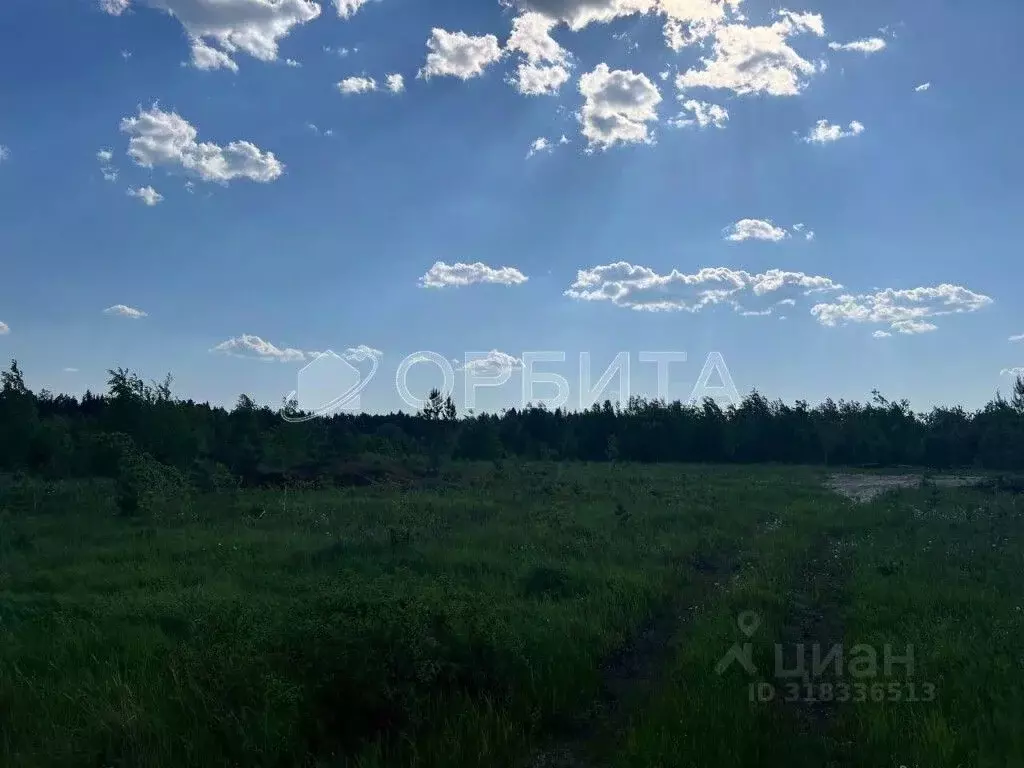 Участок в Свердловская область, Тугулым пгт ул. Колмогорова, 20 (16.25 ... - Фото 1