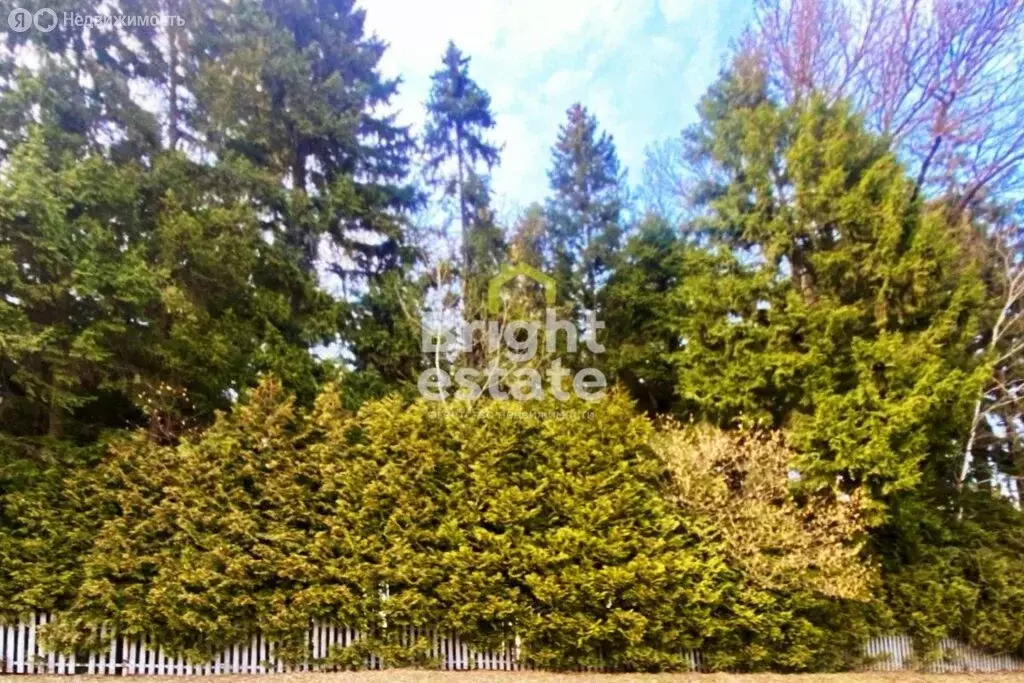 Участок в деревня Таганьково, КП Николино (45 м) - Фото 1