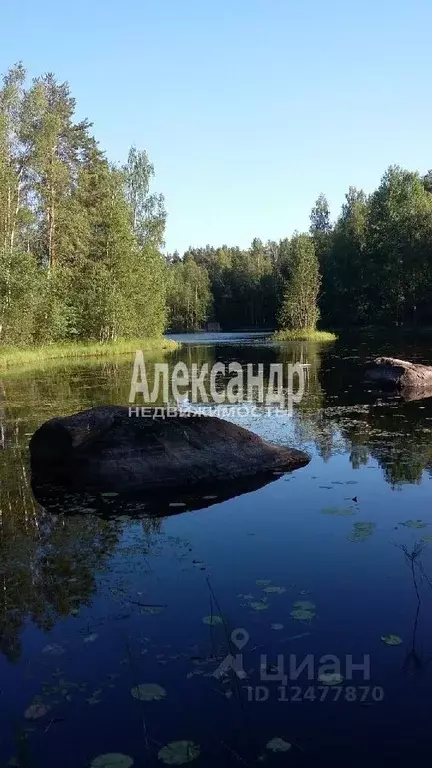 Участок в Ленинградская область, Приозерский район, Мельниковское ... - Фото 0