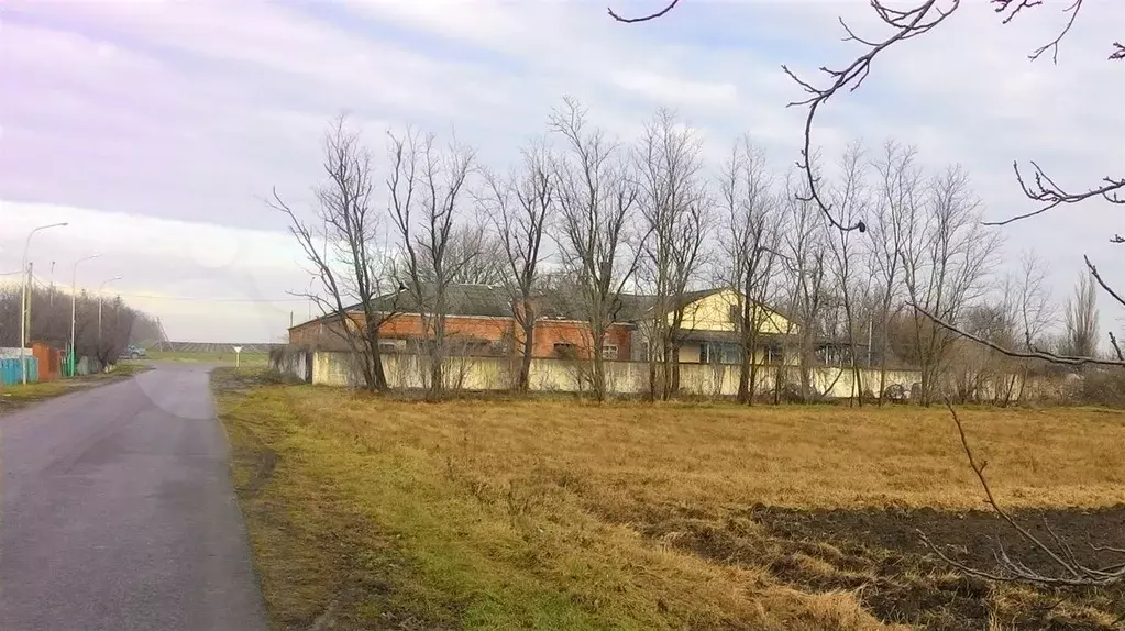 Купить Дом В Красной Ниве Брюховецкий Район