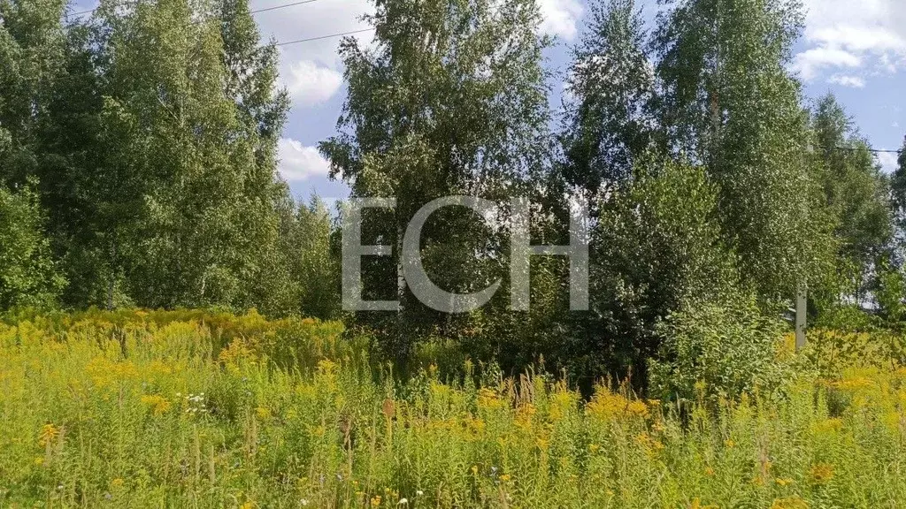 Участок в Тульская область, Тула ул. Богородицкая (7.0 сот.) - Фото 2