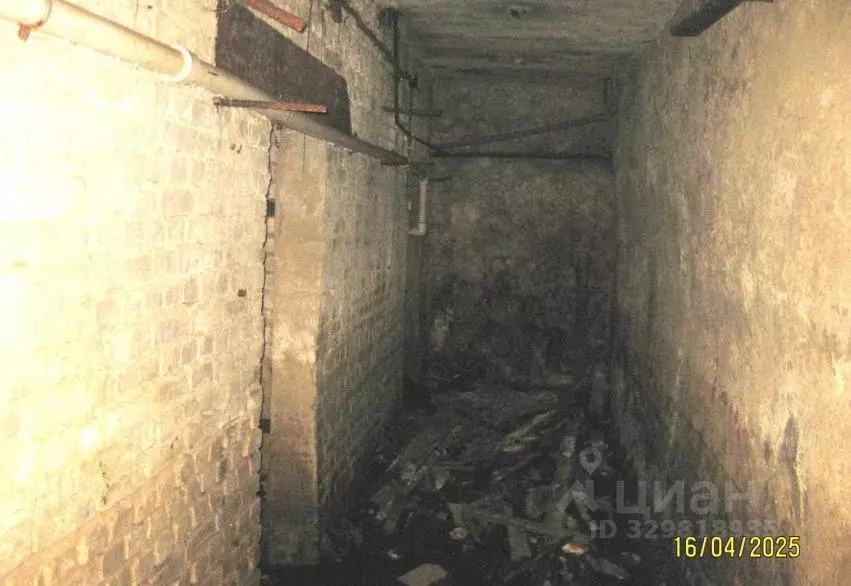Помещение свободного назначения в Нижегородская область, Нижний ... - Фото 1