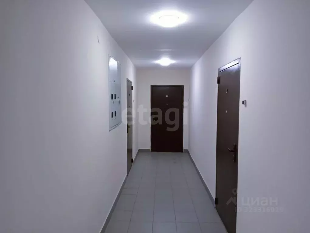 2-к кв. Марий Эл, Медведевский район, Кундышское с/пос, пос. Сурок ул. ... - Фото 2