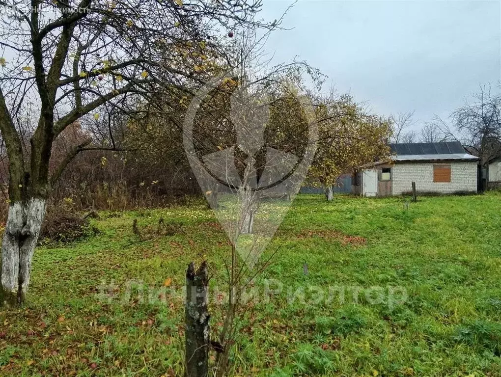 Участок в Рязань, СТ Бетонщик, 29 (4.29 м) - Фото 2