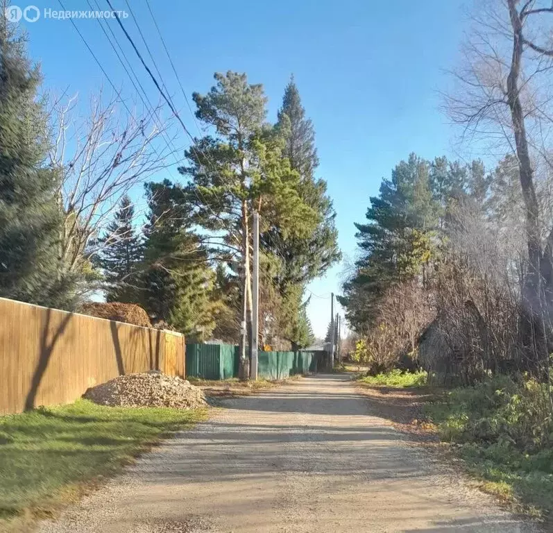 Участок в Колыванский район, садовое некоммерческое товарищество ... - Фото 1