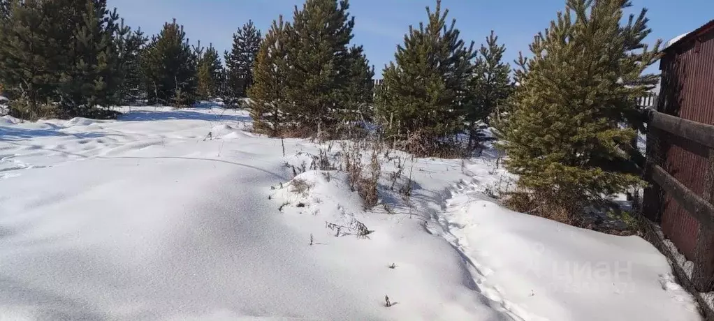 Участок в Иркутская область, Иркутский район, Хомутовское ... - Фото 1