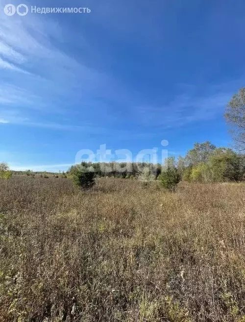 Участок в Владимирская область, Петушинский муниципальный округ, ... - Фото 1